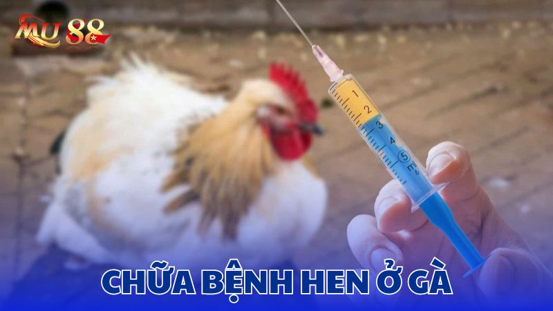 Chữa bệnh hen ở gà đúng chuẩn