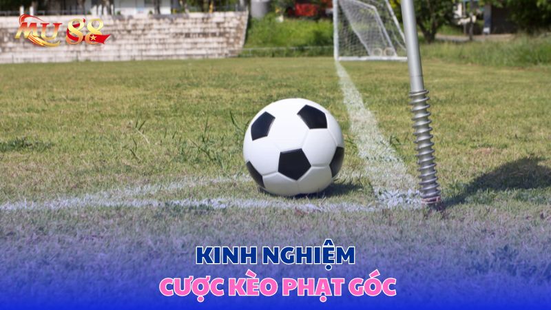 Kinh nghiệm cược phạt góc