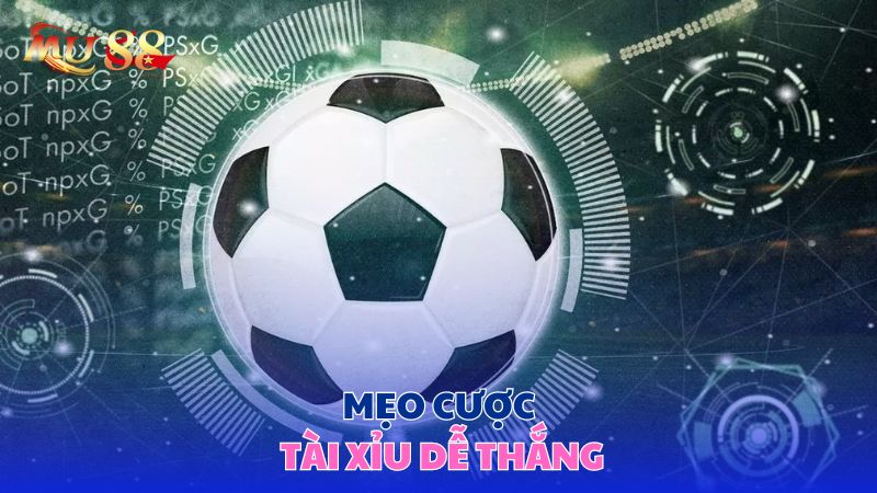 Mẹo cược tài xỉu dễ thắng